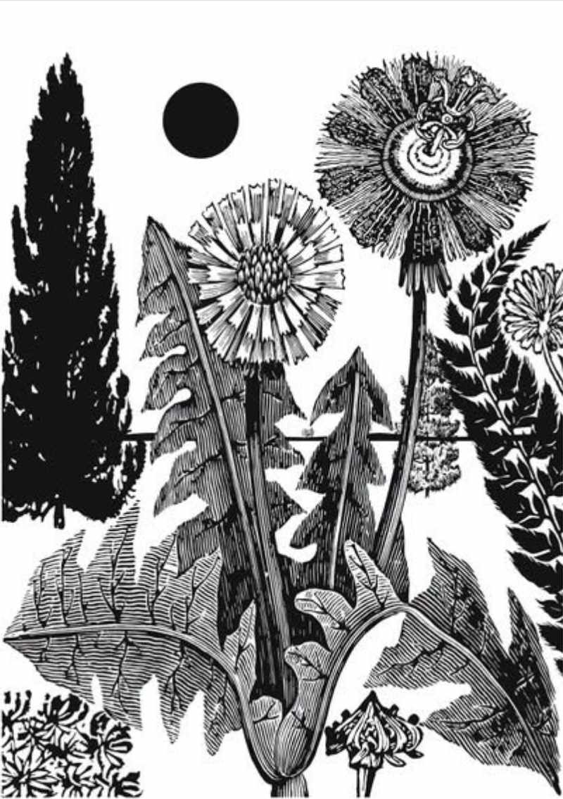 Spirit of Nature